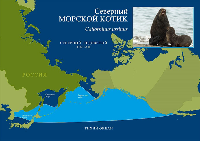 млекопитающие
